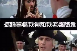 友好友好的要账公司在催收过程中的策略和技巧有哪些？